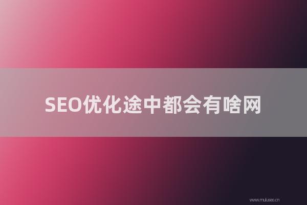 seo技术：SEO优化途中都会有啥网站链接合作的换取流程呢？