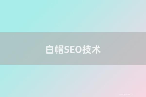 seo技术博客：白帽SEO技术干货分享,常用的SEO优化方法！