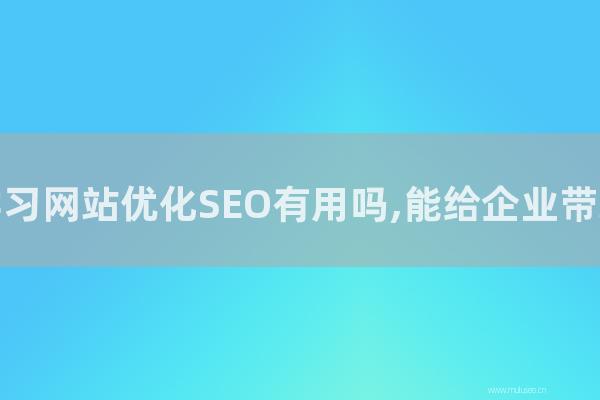seo技术：山东重庆学习网站优化SEO有用吗,能给企业带来怎样好处？